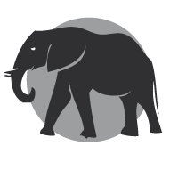 image éléphant